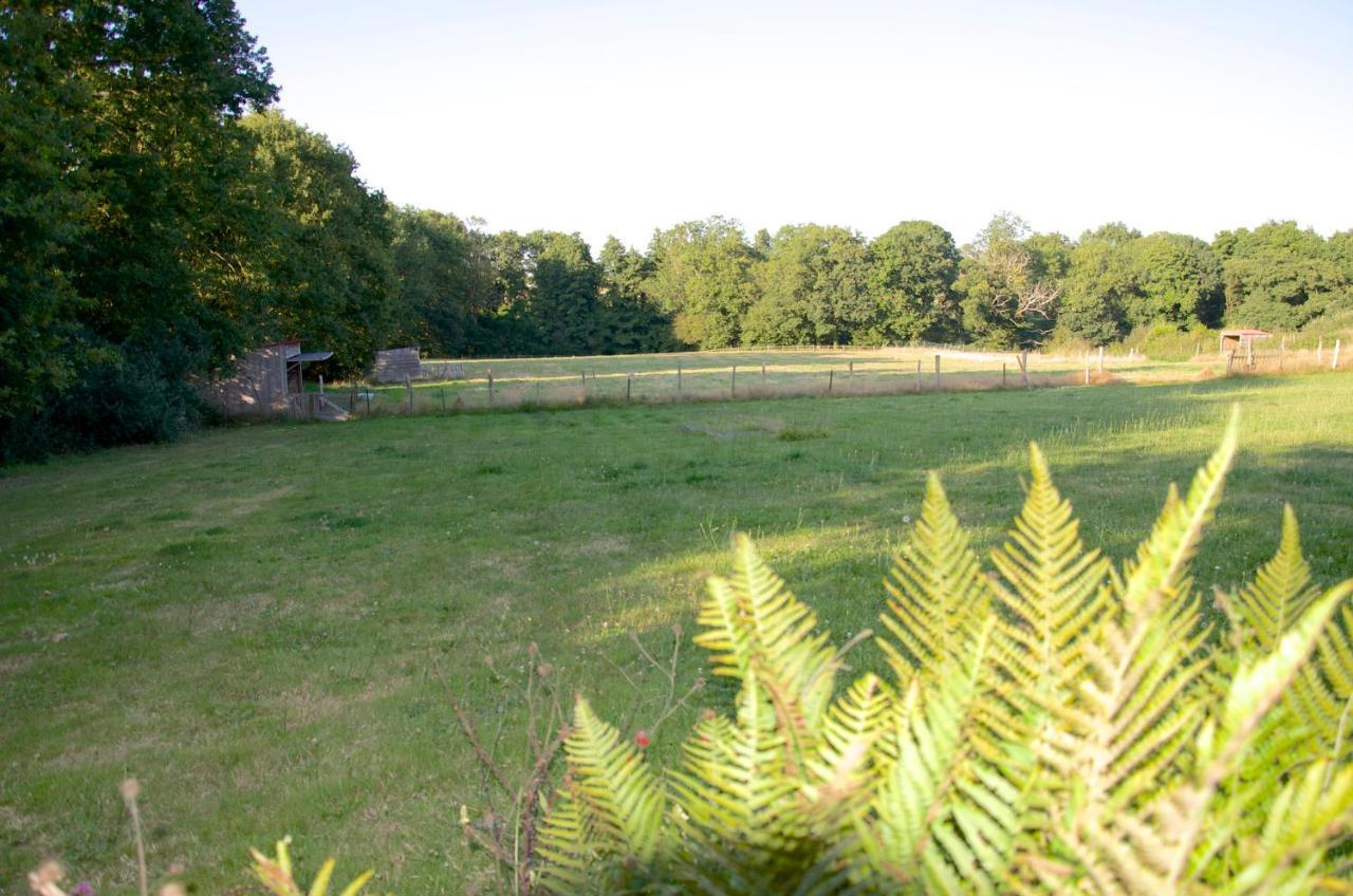 Gite Le Champ Libre Dompierre-Sur-Yon Buitenkant foto